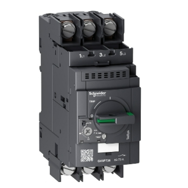 SCHNEIDER施耐德電動(dòng)機(jī)熱磁斷路器GV3P65